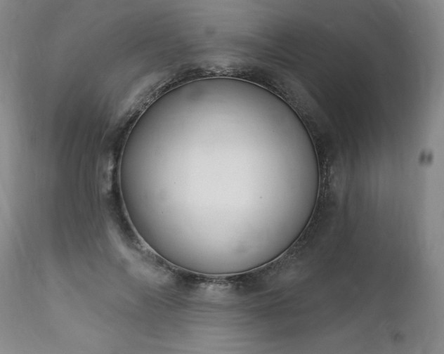 X0000112460694200908241259