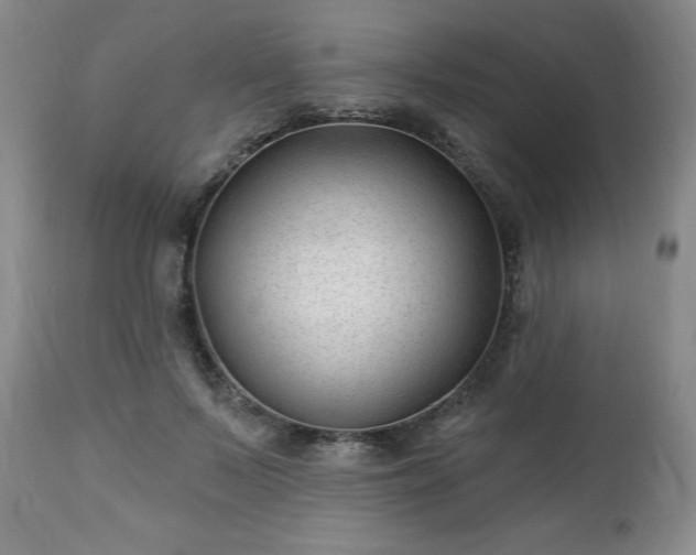 X0000112460695200908241259