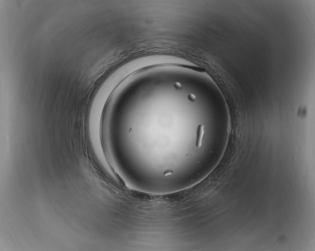 X0000112460696200908241259