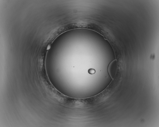 X0000112460697200908241259