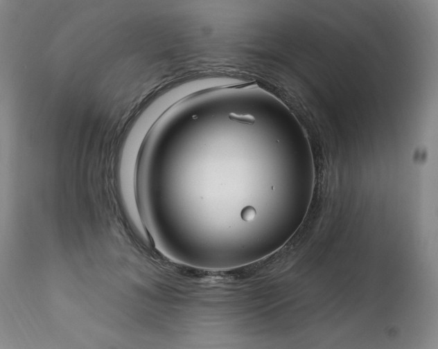 X0000112460700200908241259