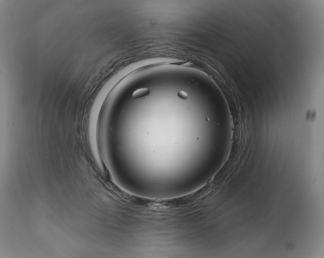 X0000112460701200908241259