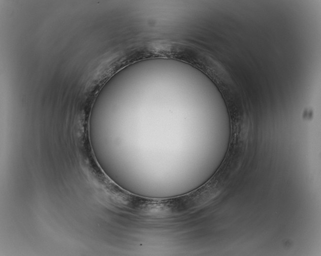 X0000112460702200908241259