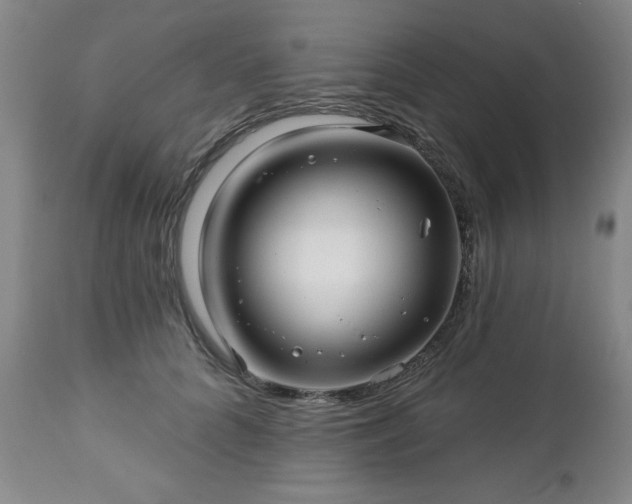 X0000112460704200908241259