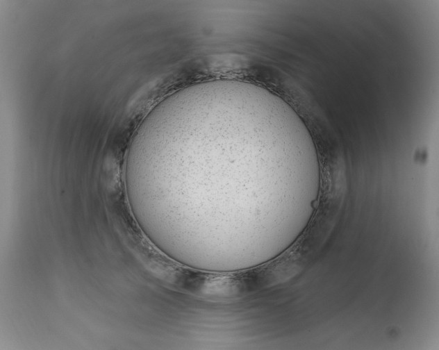 X0000112460705200908241259