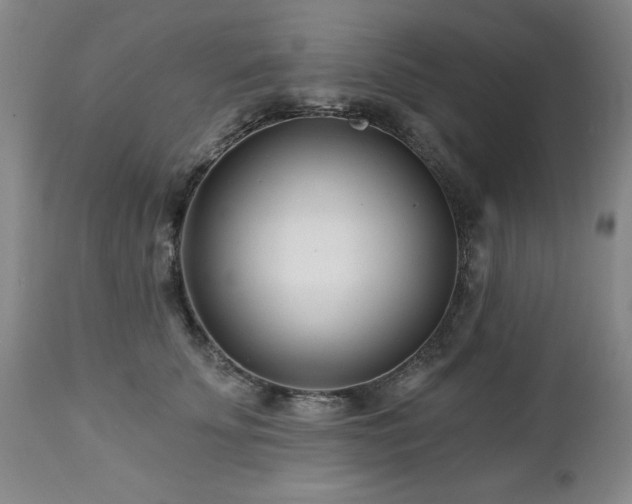 X0000112460707200908241259