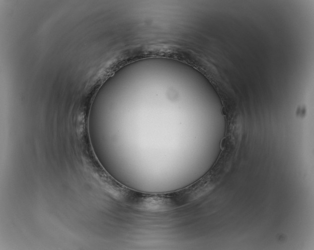 X0000112460708200908241259