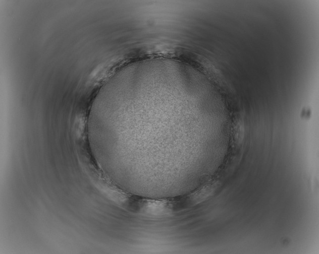 X0000112460709200908241259