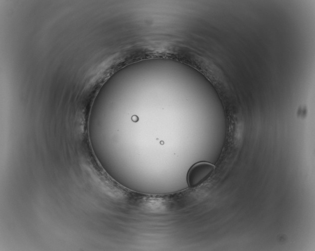 X0000112460710200908241259