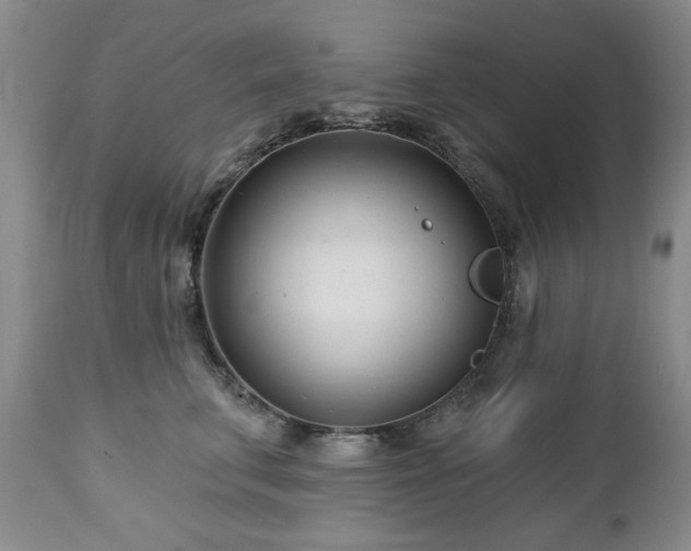 X0000112460711200908241259