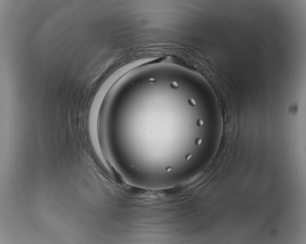 X0000112460712200908241259