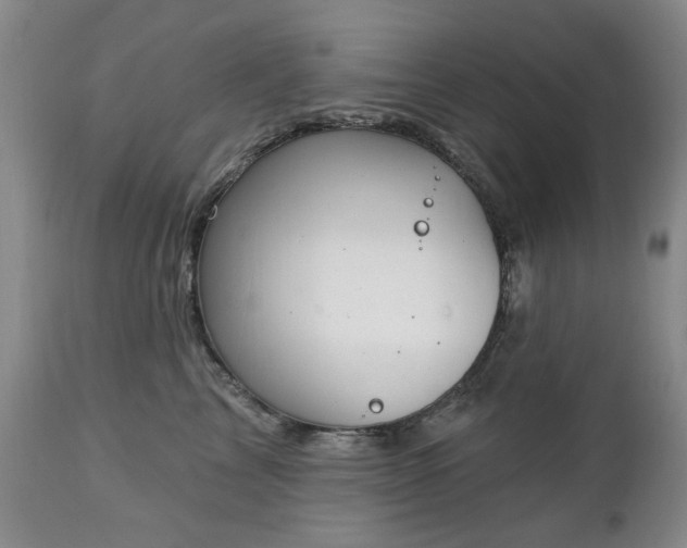 X0000112460713200908241259