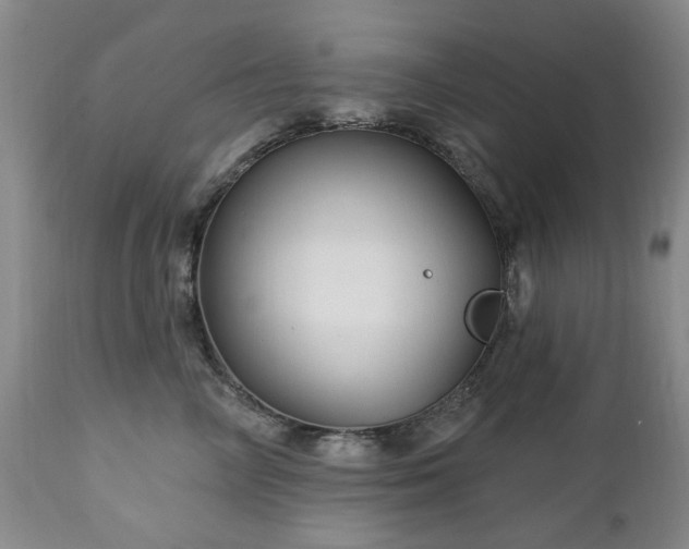 X0000112460714200908241259