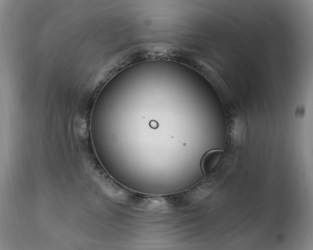 X0000112460715200908241259