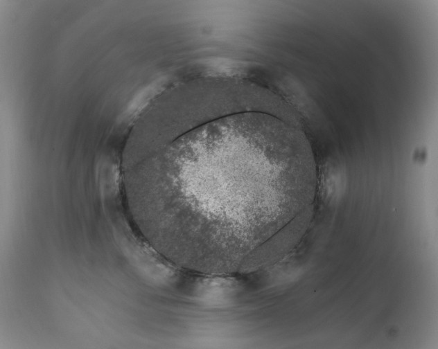 X0000112460716200908241259