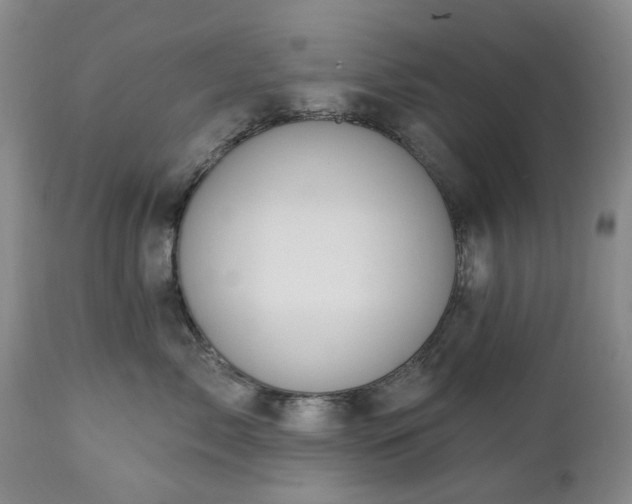 X0000112460717200908241259