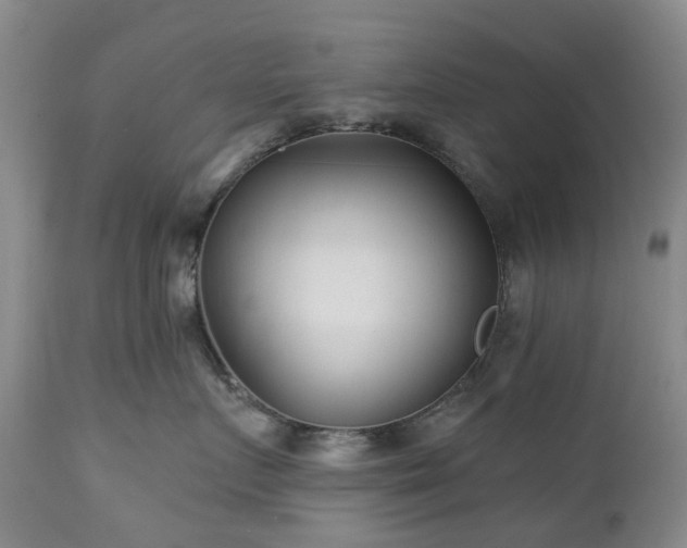 X0000112460719200908241259