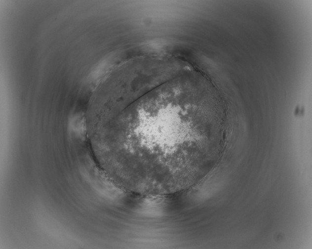 X0000112460720200908241259