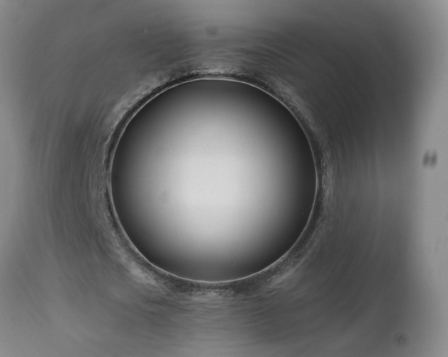 X0000112460721200908241258