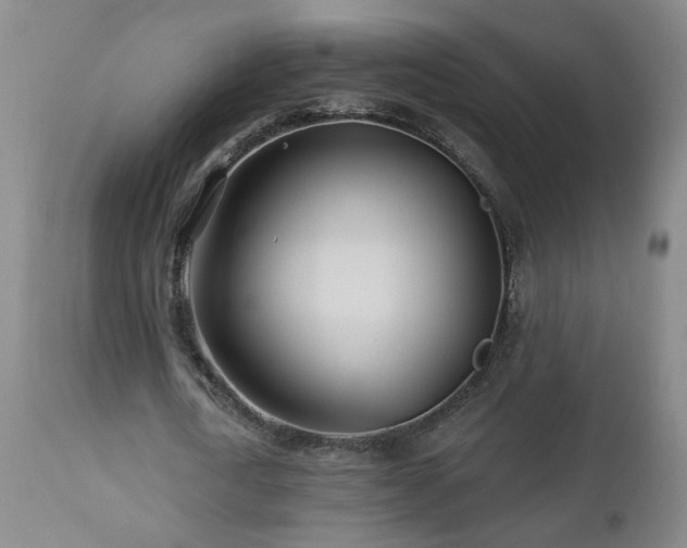 X0000112460722200908241258