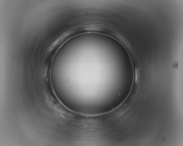 X0000112460723200908241258