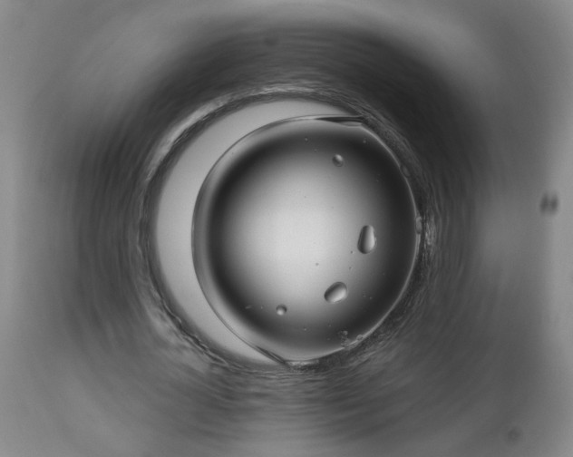 X0000112460724200908241258