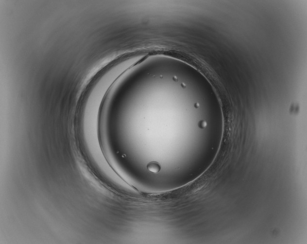 X0000112460726200908241258