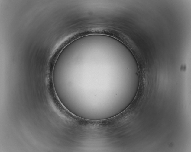 X0000112460728200908241258