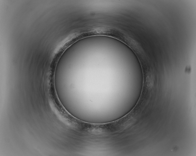 X0000112460730200908241258