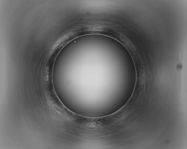 X0000112460731200908241258