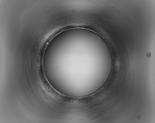 X0000112460732200908241258