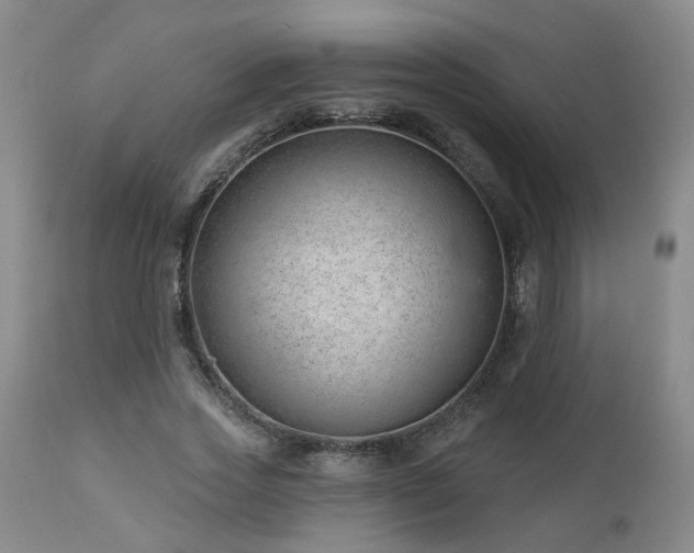 X0000112460733200908241258