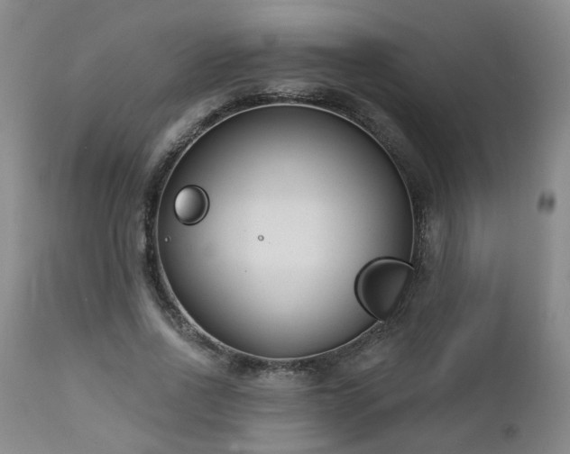 X0000112460734200908241258