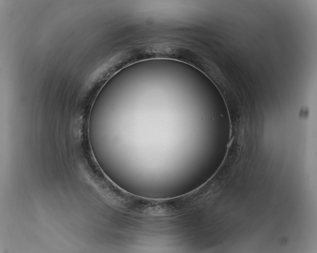 X0000112460735200908241258