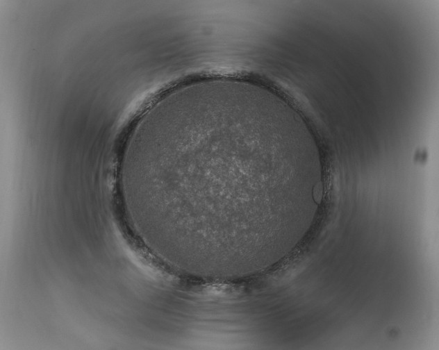 X0000112460736200908241258