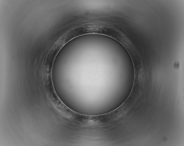 X0000112460737200908241258