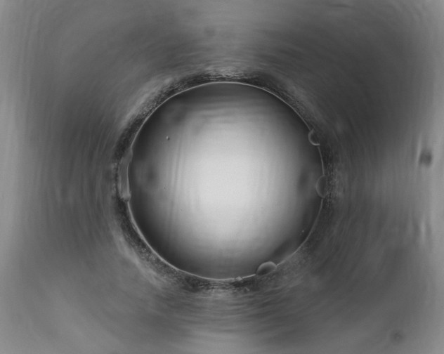 X0000112460738200908241258