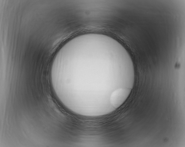 X0000112460740200908241258