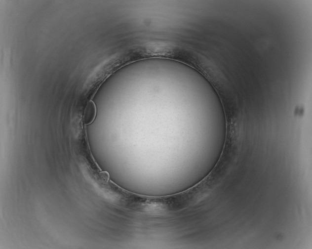 X0000112460741200908241258