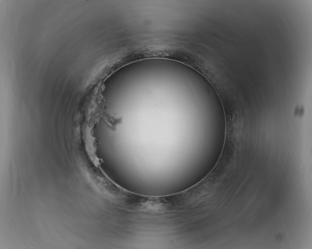 X0000112460742200908241258