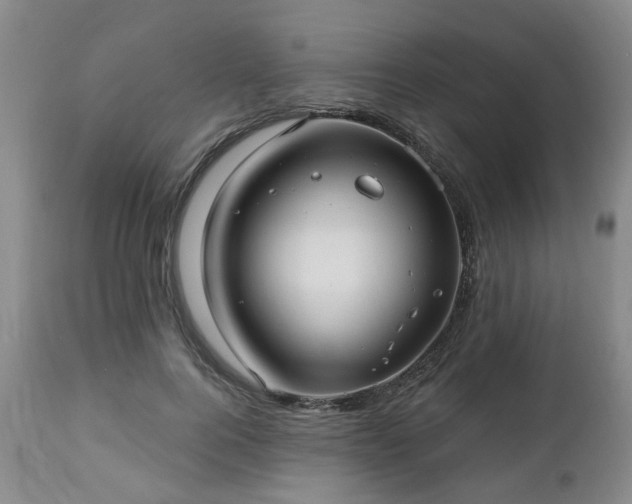 X0000112460744200908241258