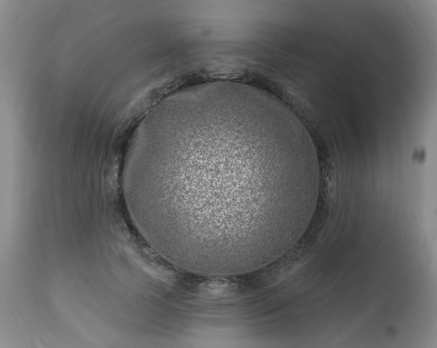 X0000112460745200908241258