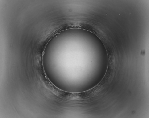 X0000112460747200908241258