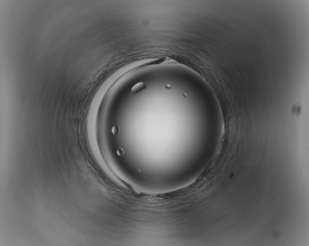 X0000112460750200908241258