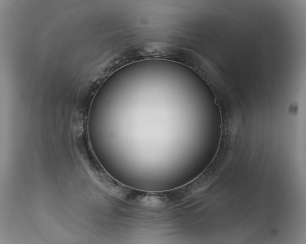 X0000112460751200908241258