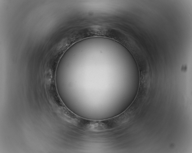 X0000112460752200908241258