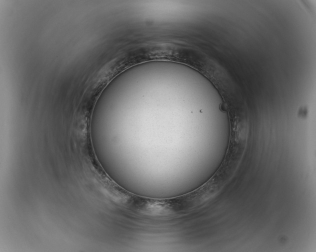 X0000112460753200908241258