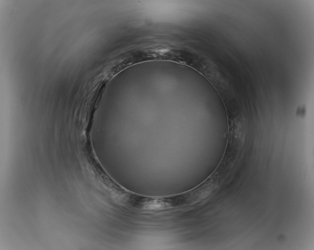 X0000112460754200908241258