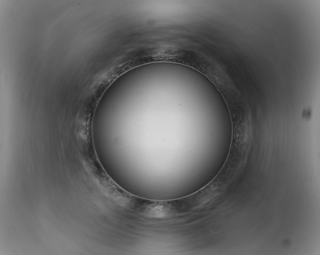 X0000112460755200908241258