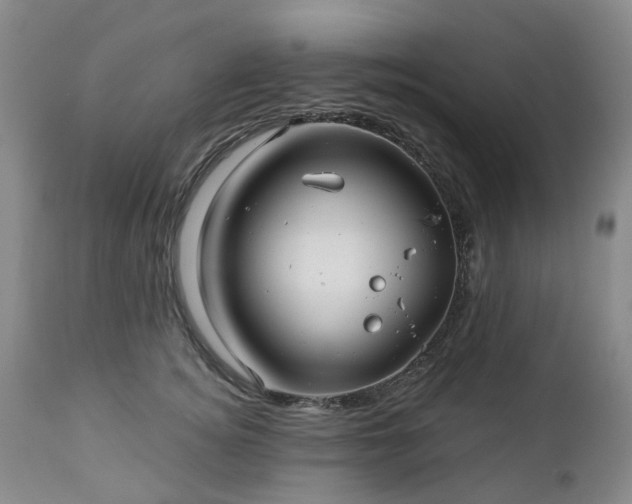 X0000112460756200908241258